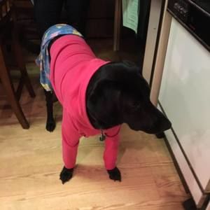 Meet your Posher, Allison